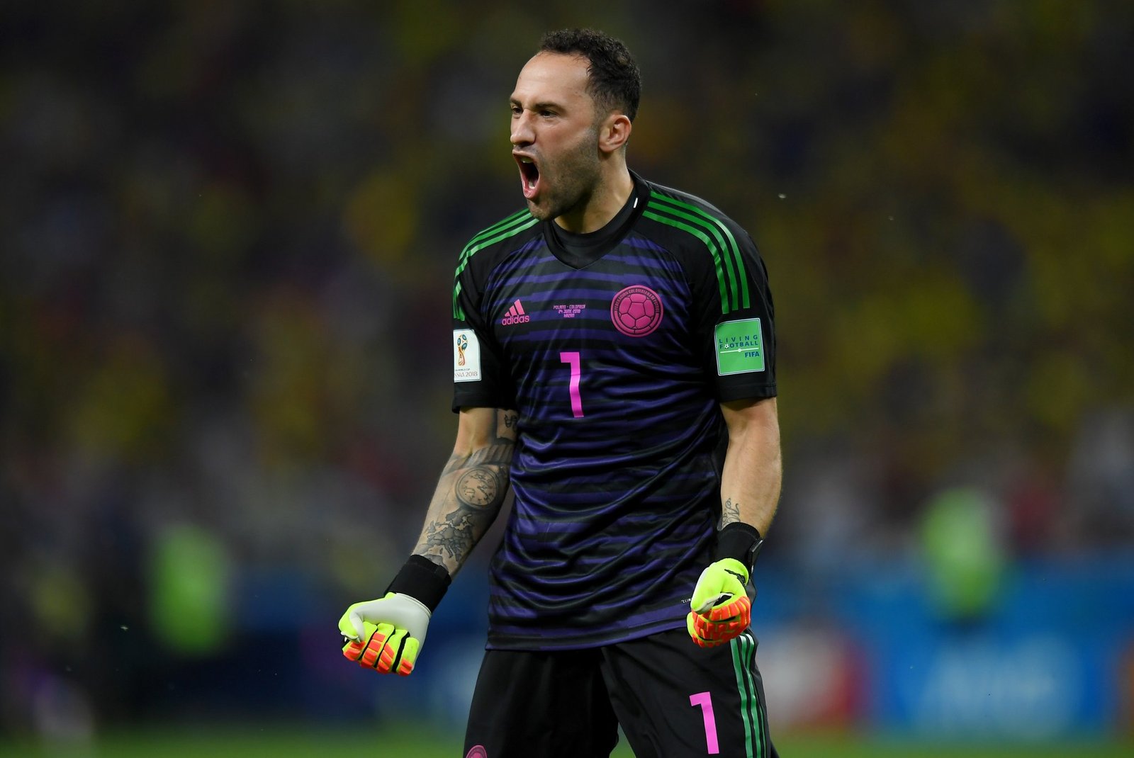 David Ospina at WORLD CUP 2018